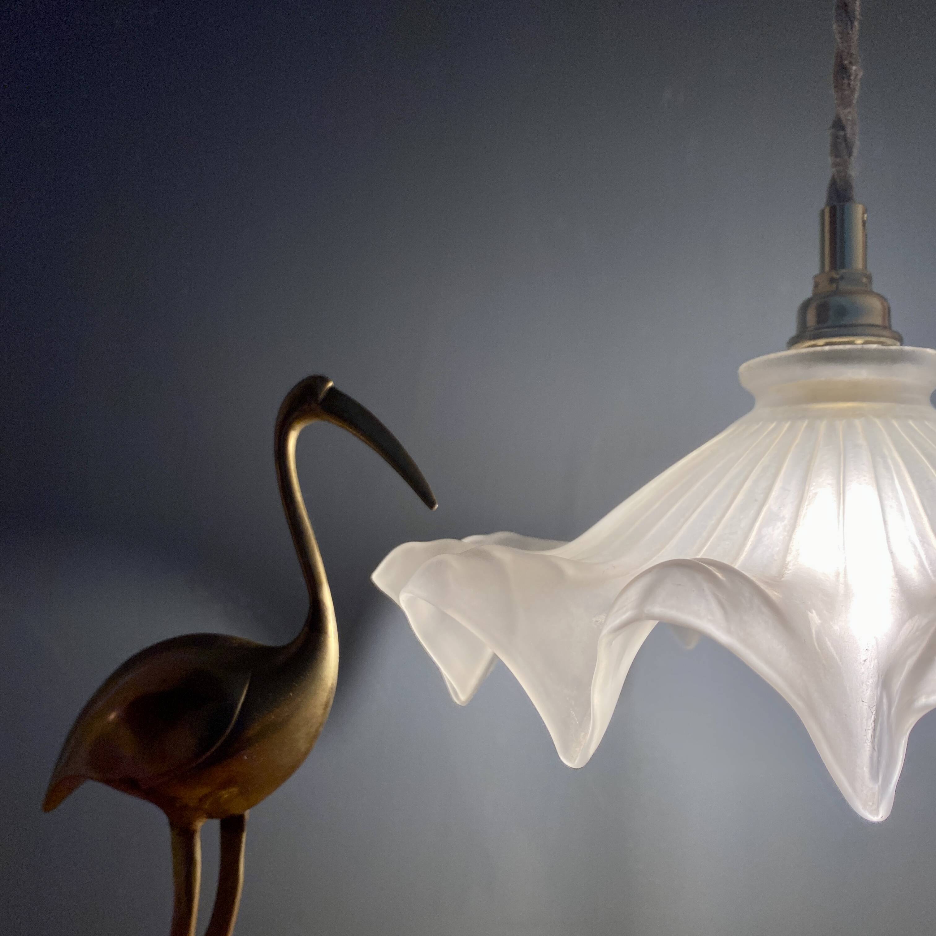 Vintage frosted glass lampshade pendant light