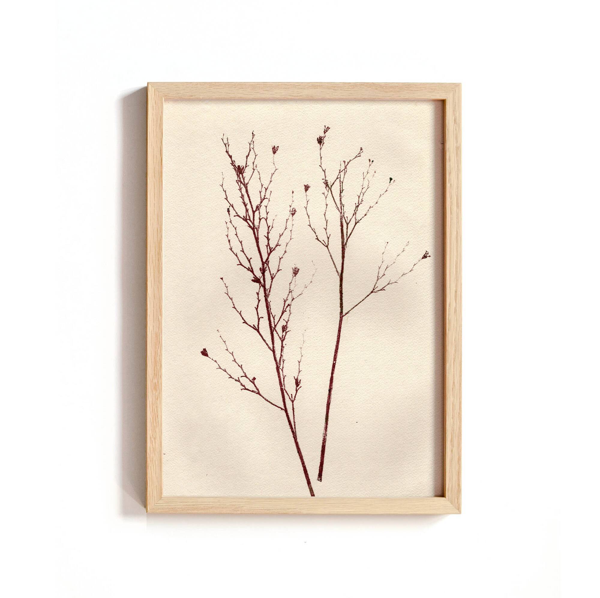 Collection de peintures herbiers sur papier signées Eawy