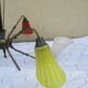 Chandelier vintage glass Tulip color 6 branches