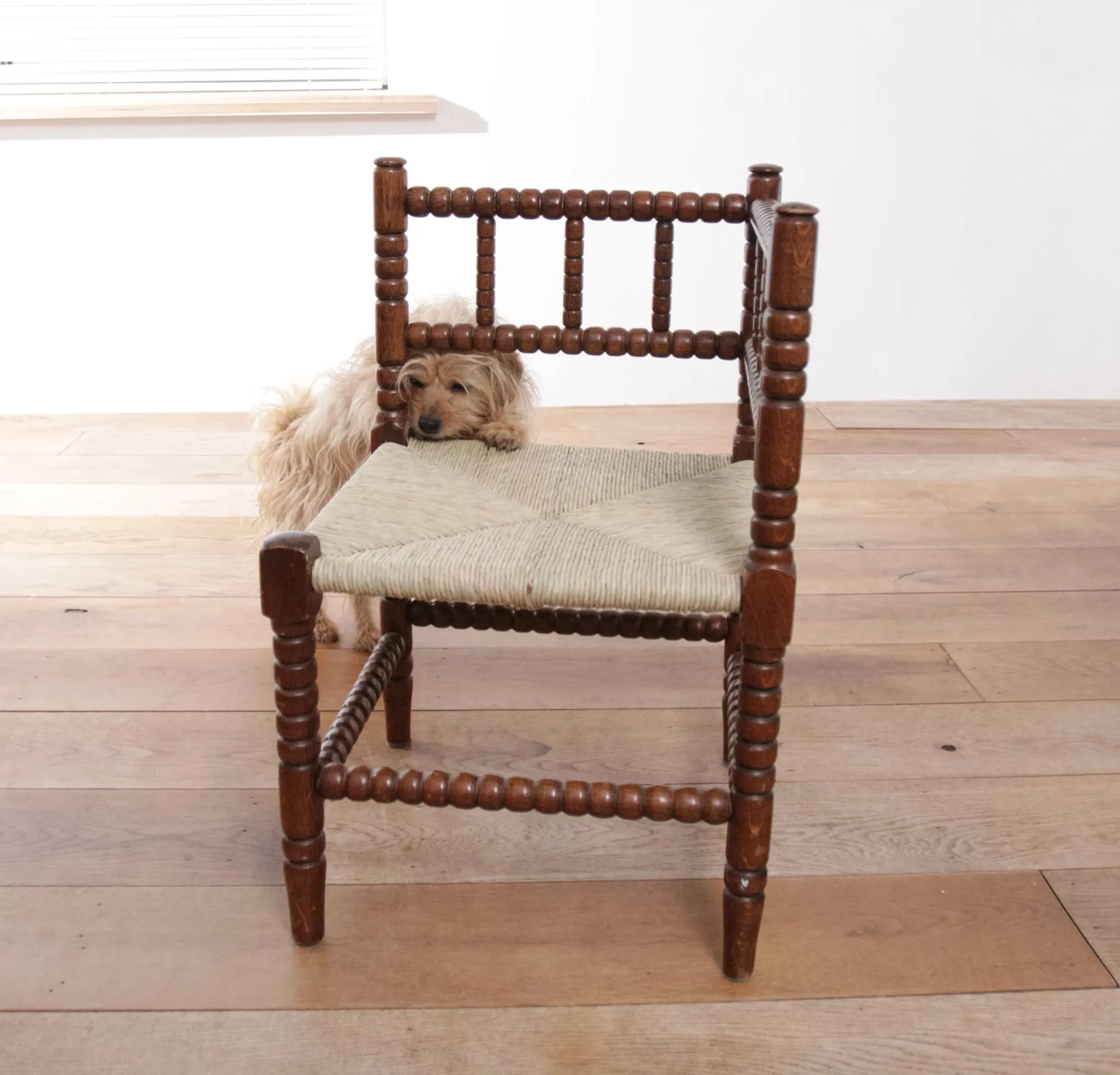 Antique Dutch oak corner chair with turned spindles and new rush seat