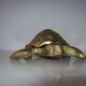 Golden brass ashtray has a turtle-shaped