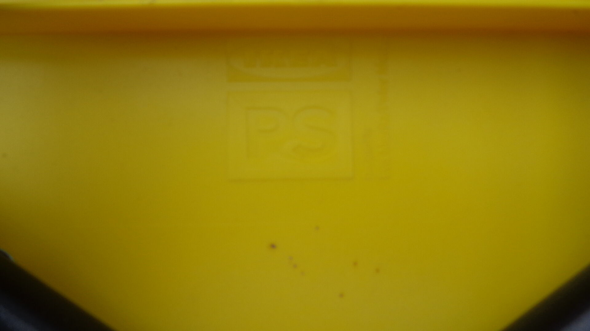 Mayan chair/office the bee