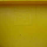 Mayan chair/office the bee