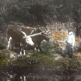 Photograph the Mare black and white print enhanced around 1900