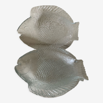 Glass fish plates