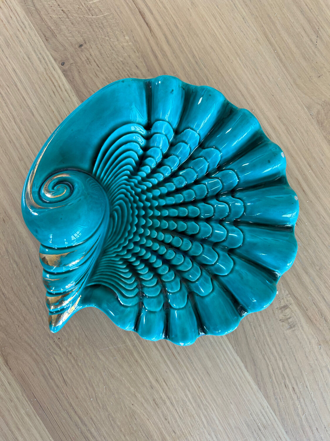 Verceram shell pocket empty