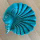 Verceram shell pocket empty