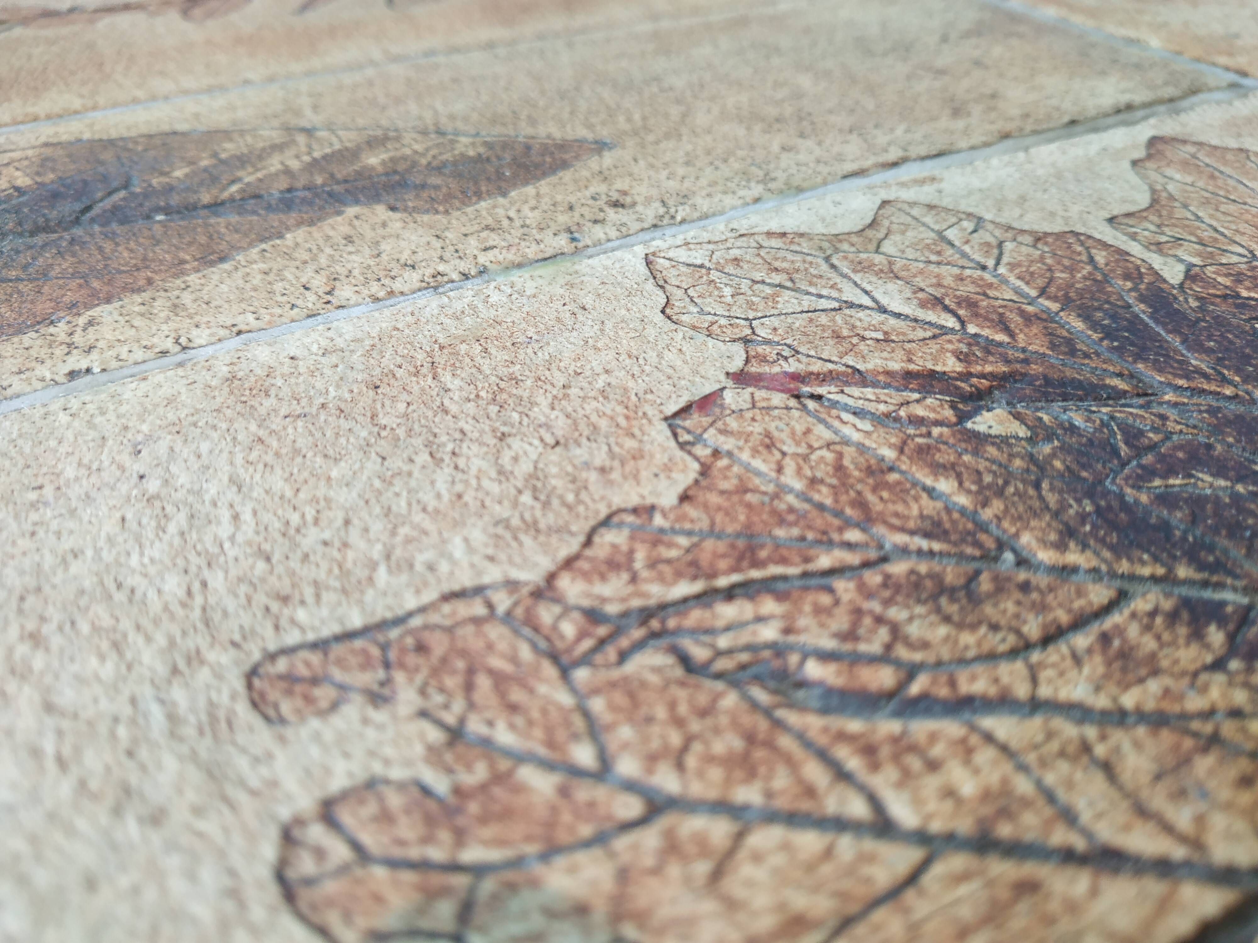 Coffee table Roger Capron
