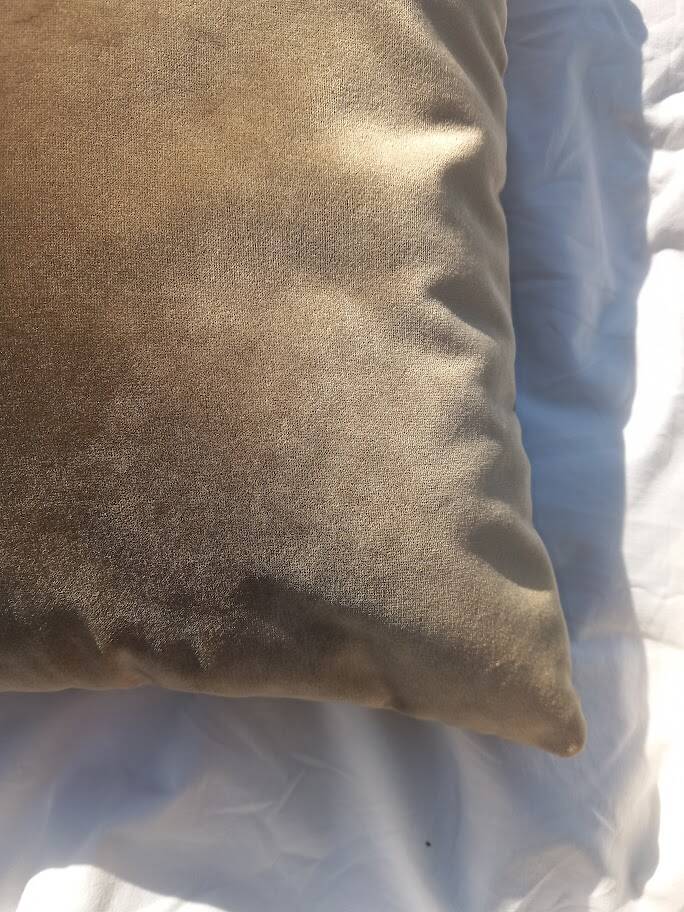 golden Medici cushion