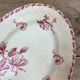 Dish oval porcelain of Gien model Cactus