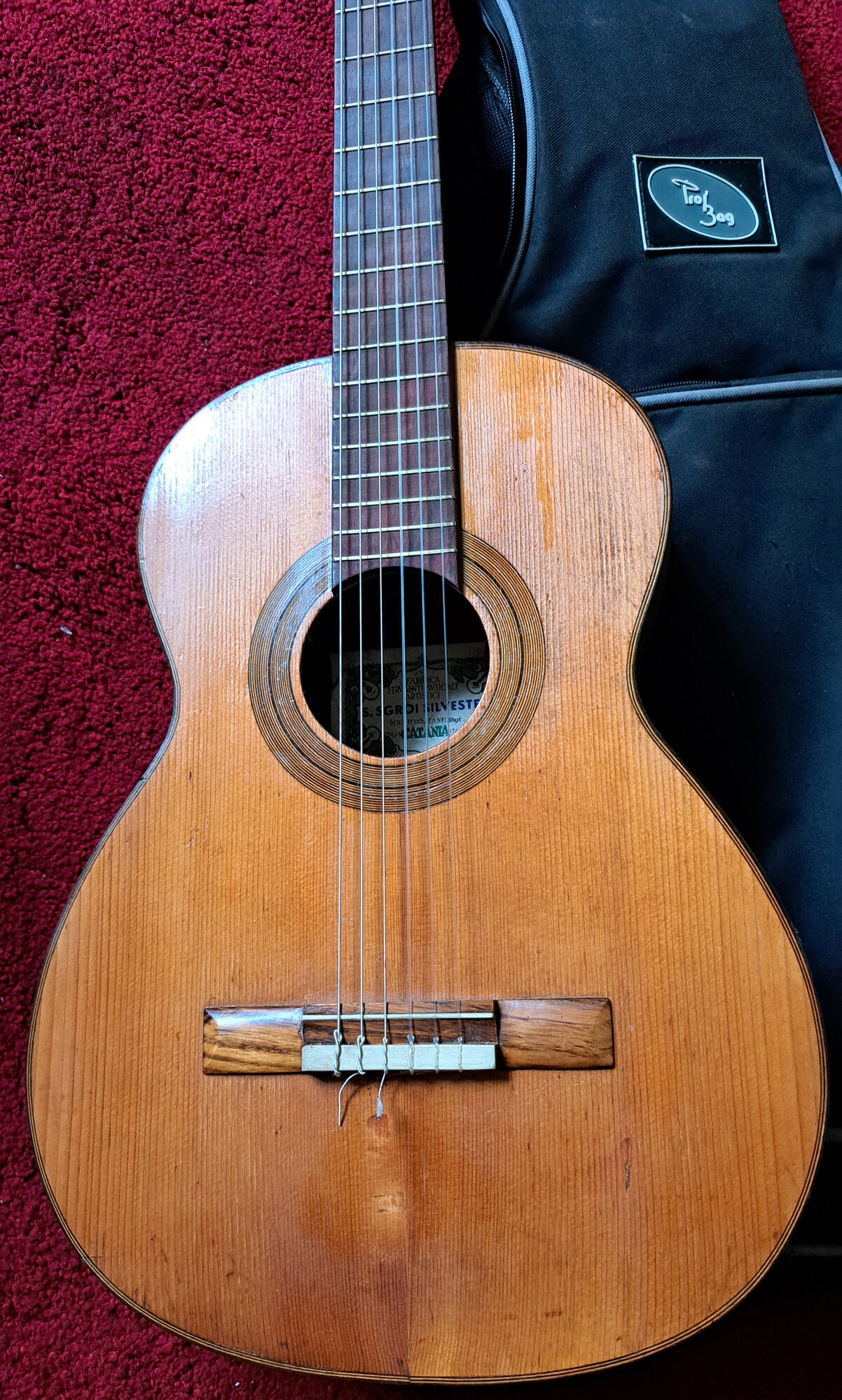 Guitare vintage sicilienne s.groi silvestri 1950s/60s