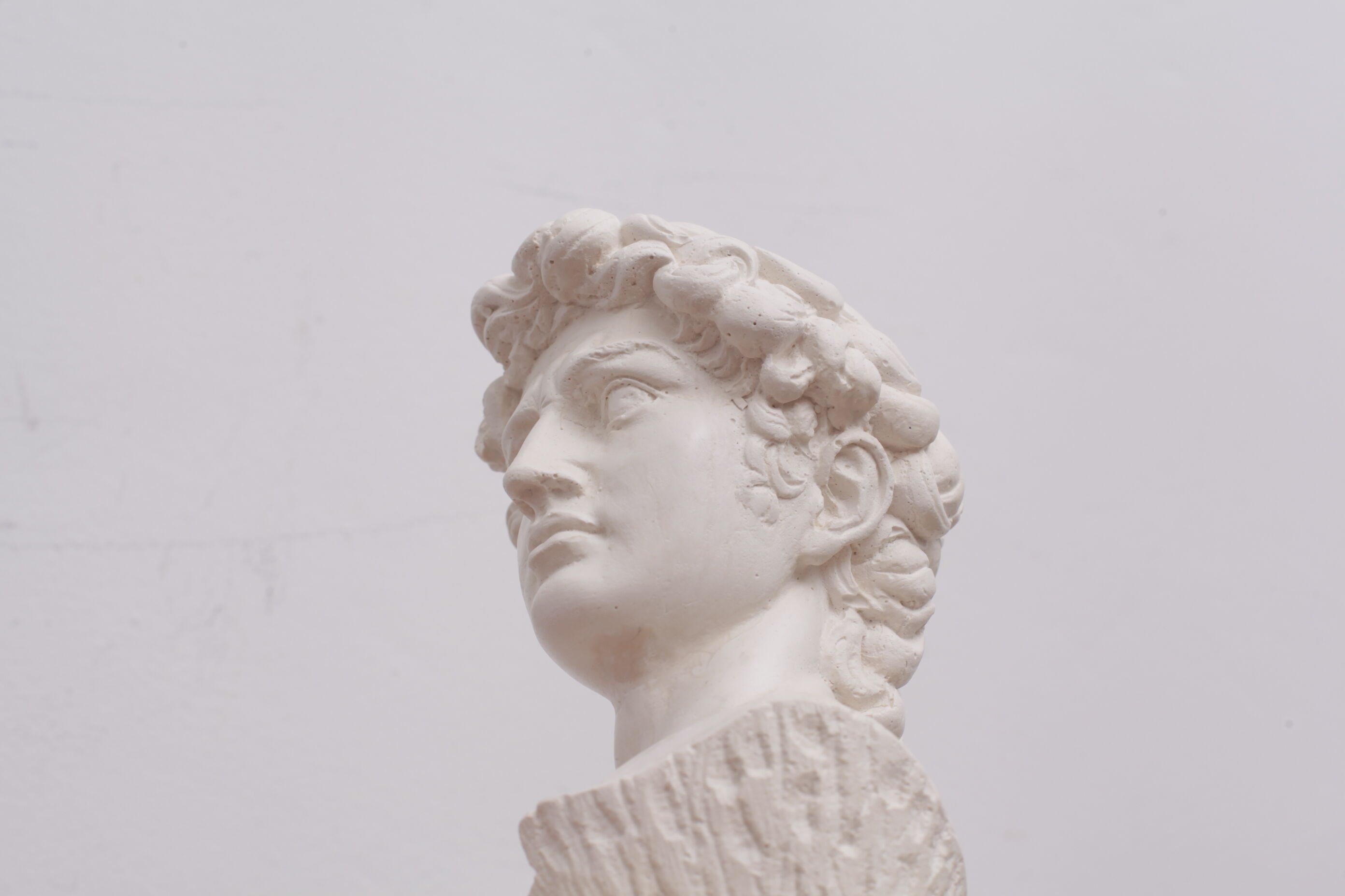 David head in white plaster