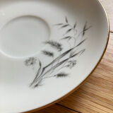 5 porcelain cups and sub-cups