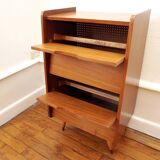 Vintage Shoe cabinet