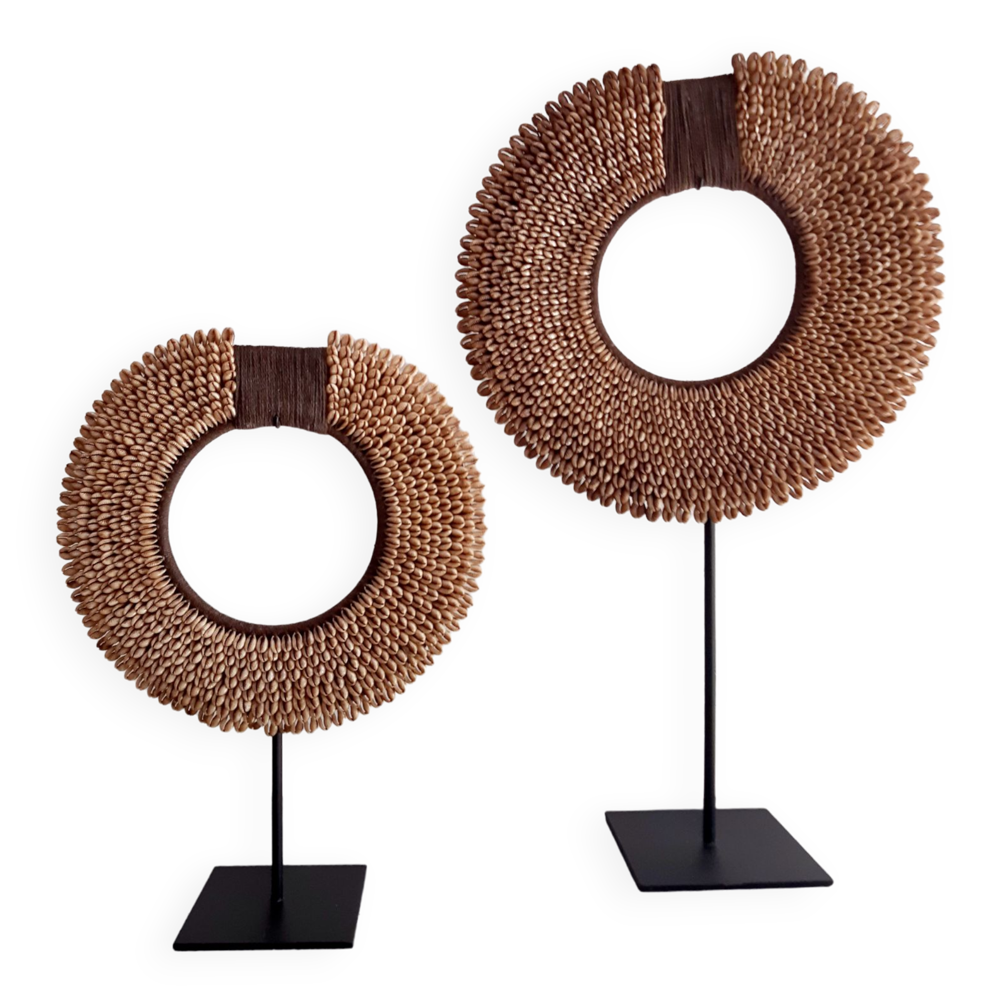 Colliers Tolai de coquillages Nassa