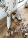Graphic sandstone vase 50s