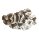 Ancient coral