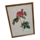 Lithograph Rosier Frankfurt