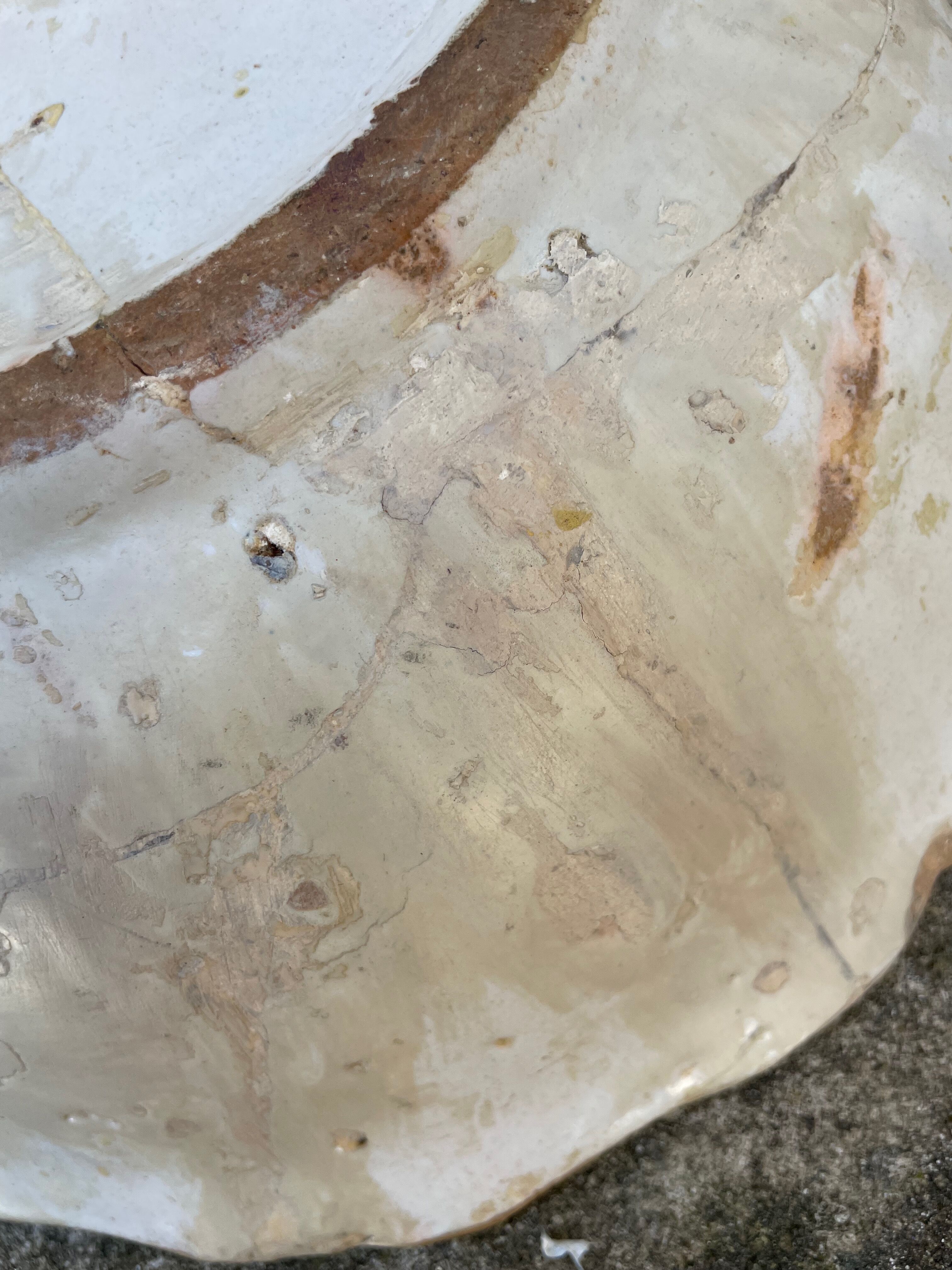 Antique dish with deer pattern