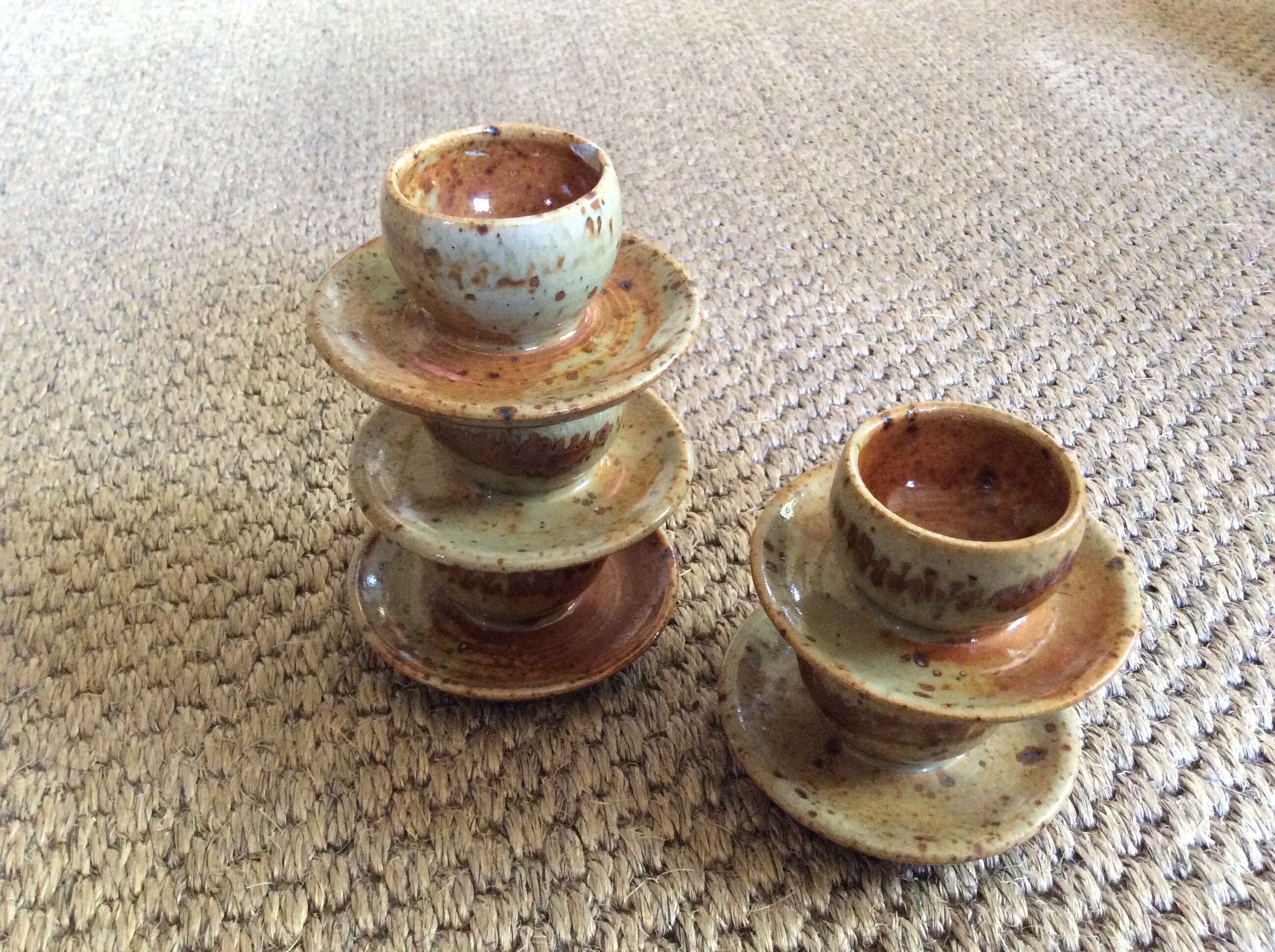 Series of 5 cockroaches