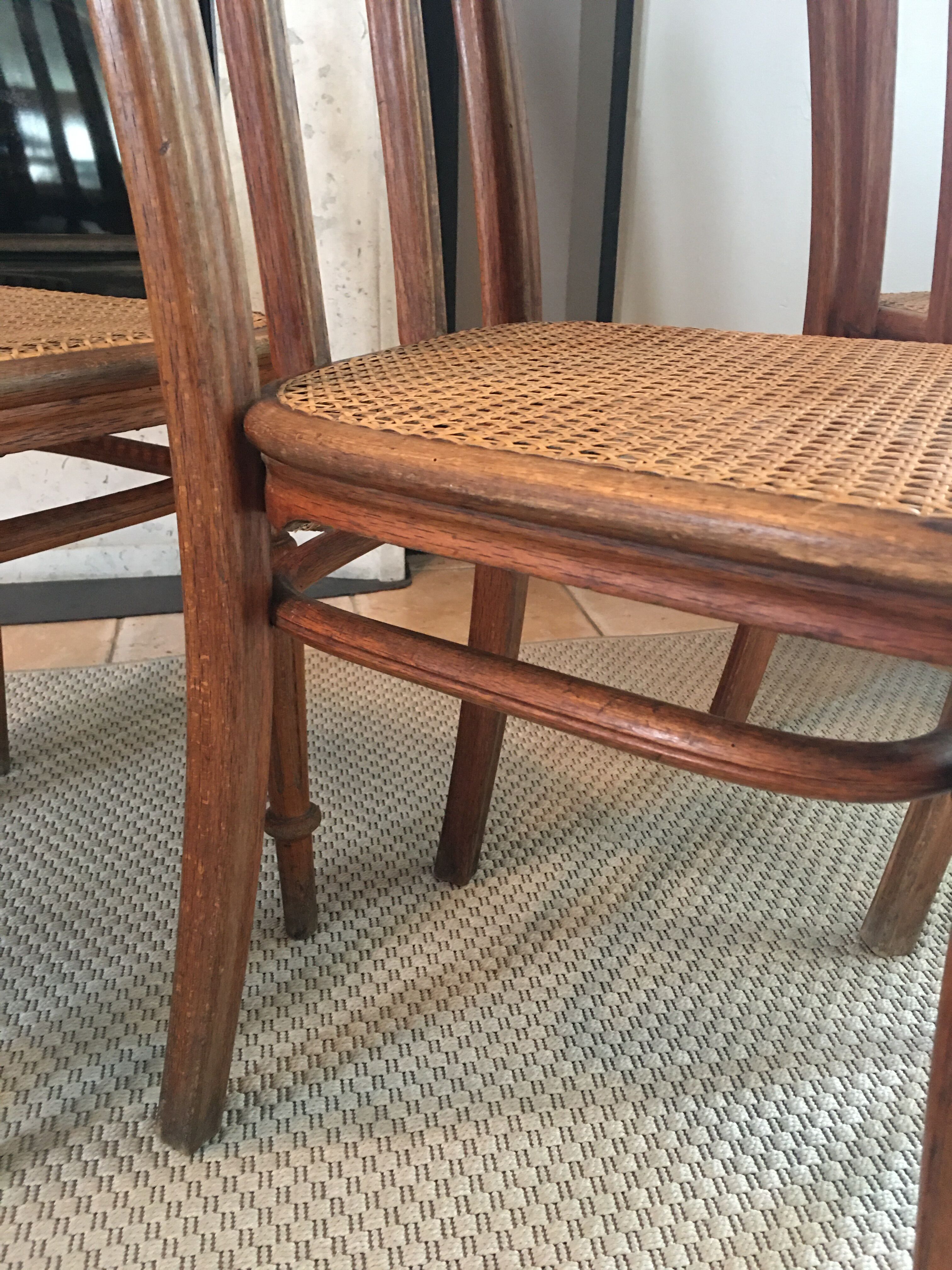 4 Thonet chairs N41