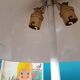 Mushroom lamp from the 70s