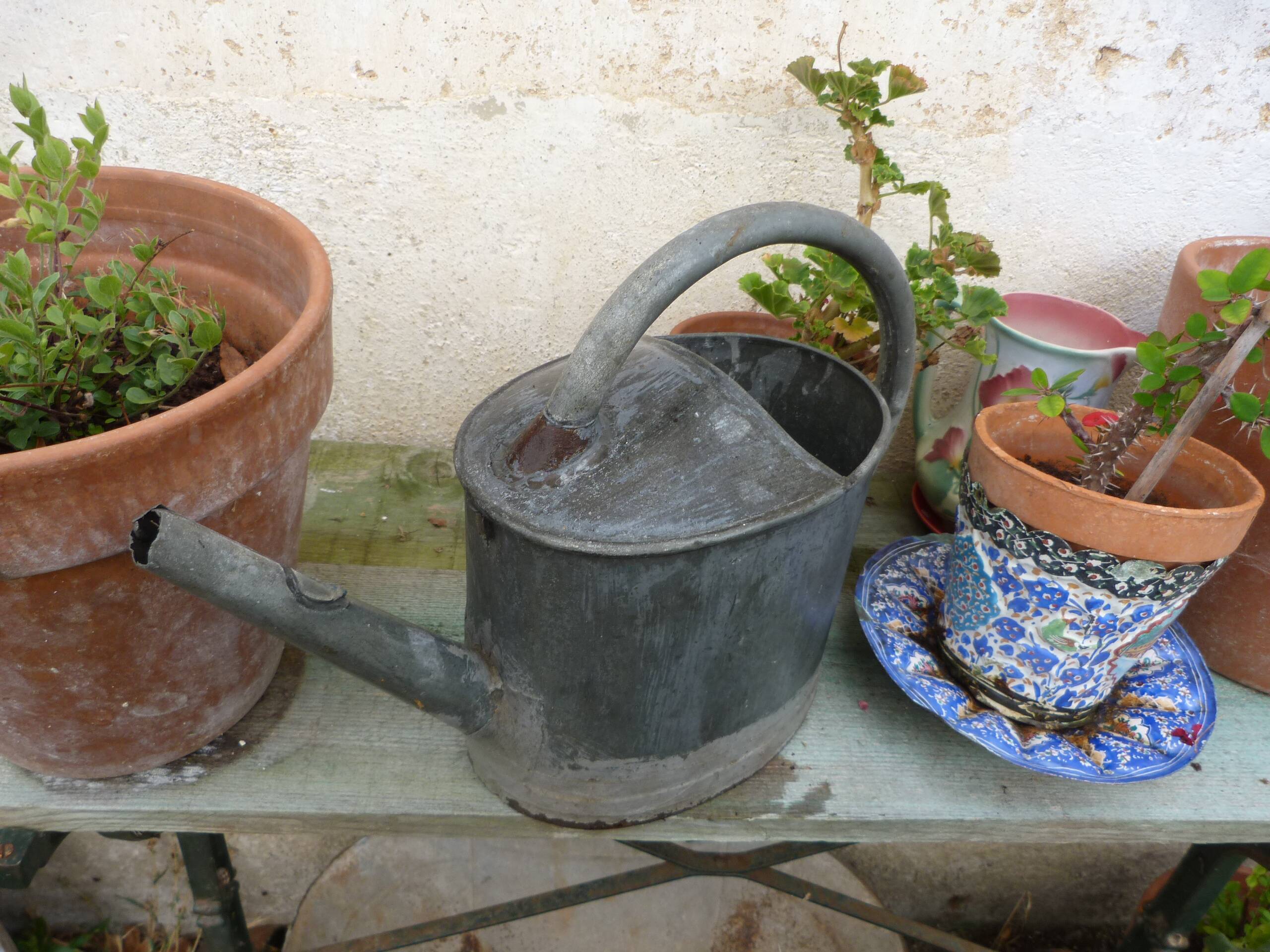 Old small zinc watering can