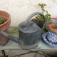 Old small zinc watering can