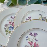 7 small vintage porcelain plates with floral pattern KG Luneville