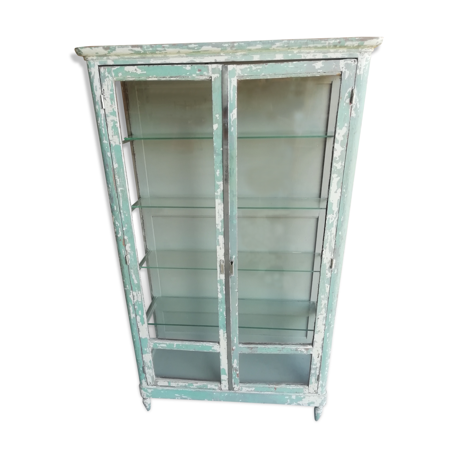 Former pharmacy or laboratory showcase