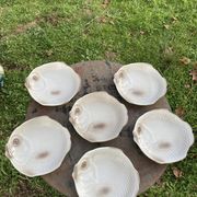 6 flat plates fish in beige ceramic Salins les bains