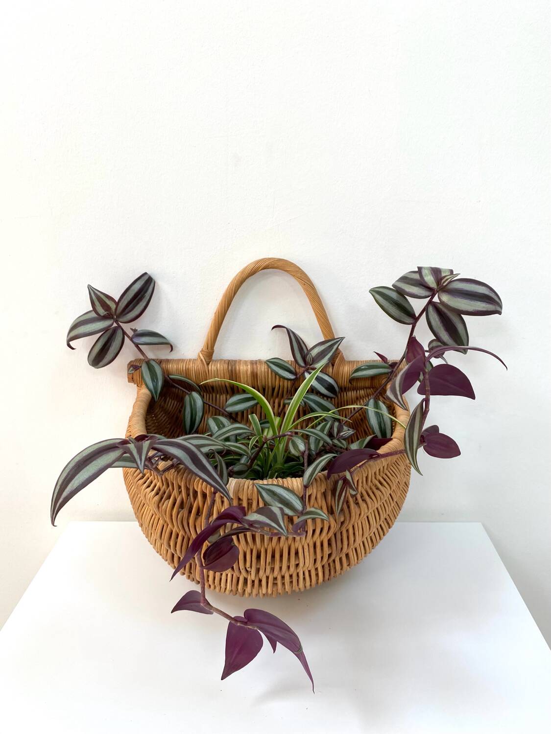 Large hanging wicker rattan basket - 1970s
