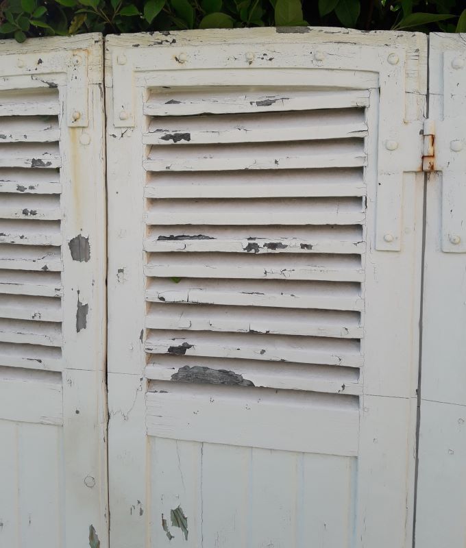 Curved shutters oak and fir H156xL245