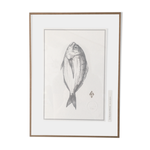 Tableau La Daurade
