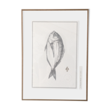 "The Sea Bream"