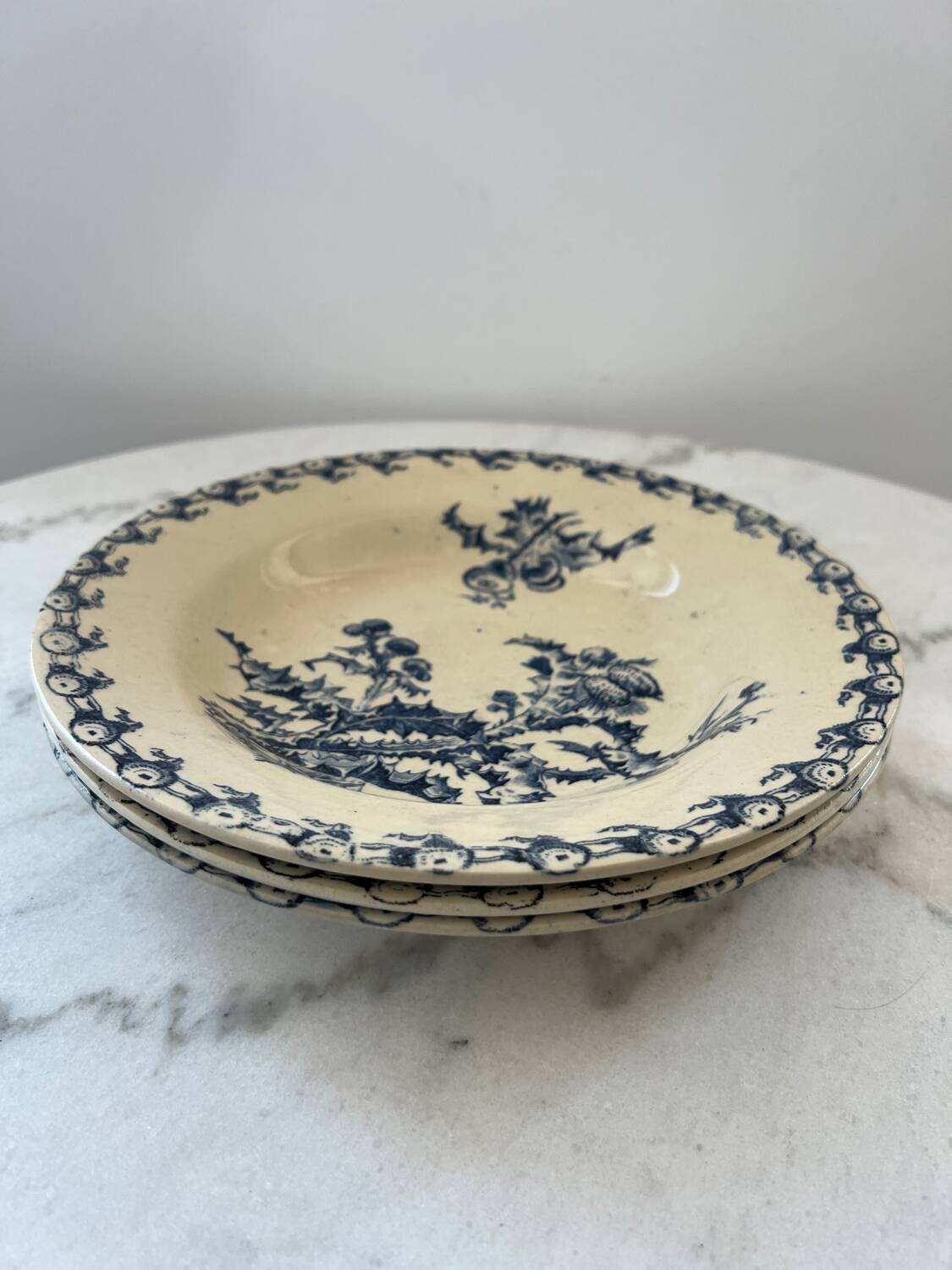 Deep plates Terre de Fer thistles Gien