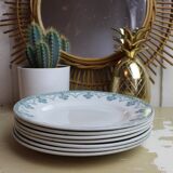 Lot of 7 of the saint-amand manufacture ceramic plates