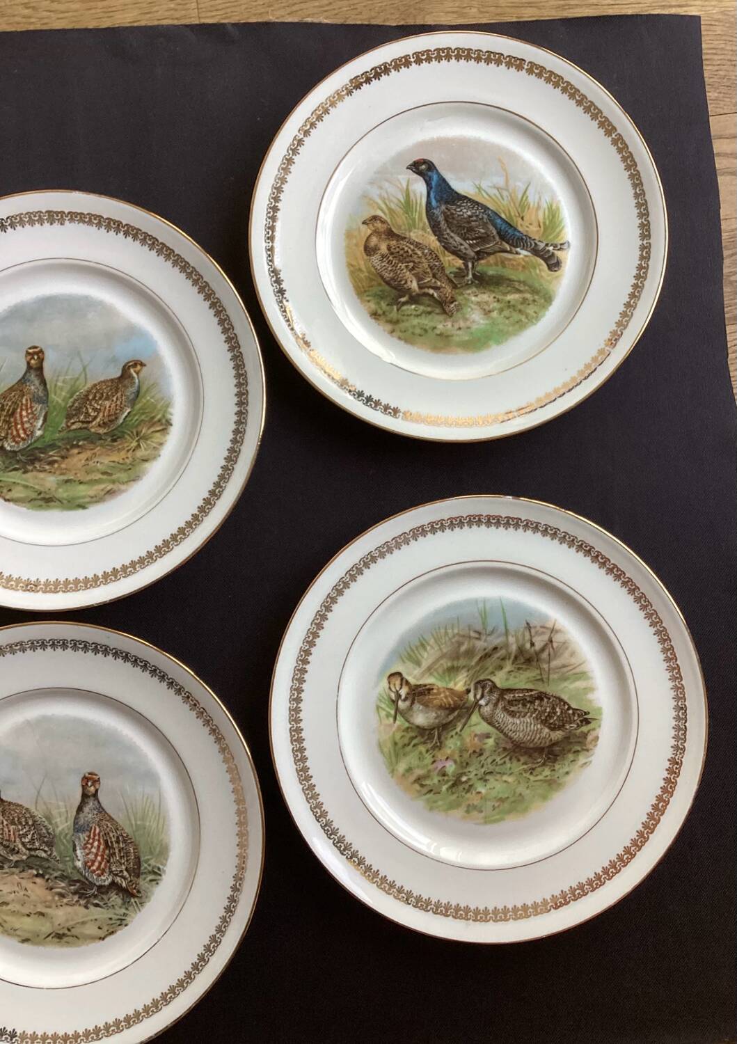 Flat plates PL Emaux Limoges Fafrique Mehun