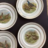 Flat plates PL Emaux Limoges Fafrique Mehun