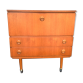 Meuble de rangement en teck vintage