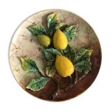 Slurry plate, lemons