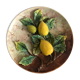 Slurry plate, lemons