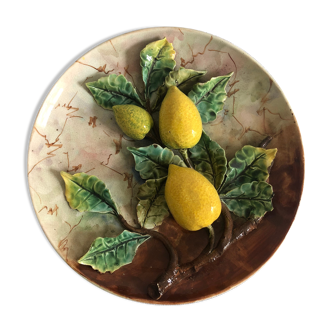 Slurry plate, lemons
