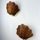 Pair of shell-shaped wicker wall sconces – rattan & brass, circa Italy 1970s