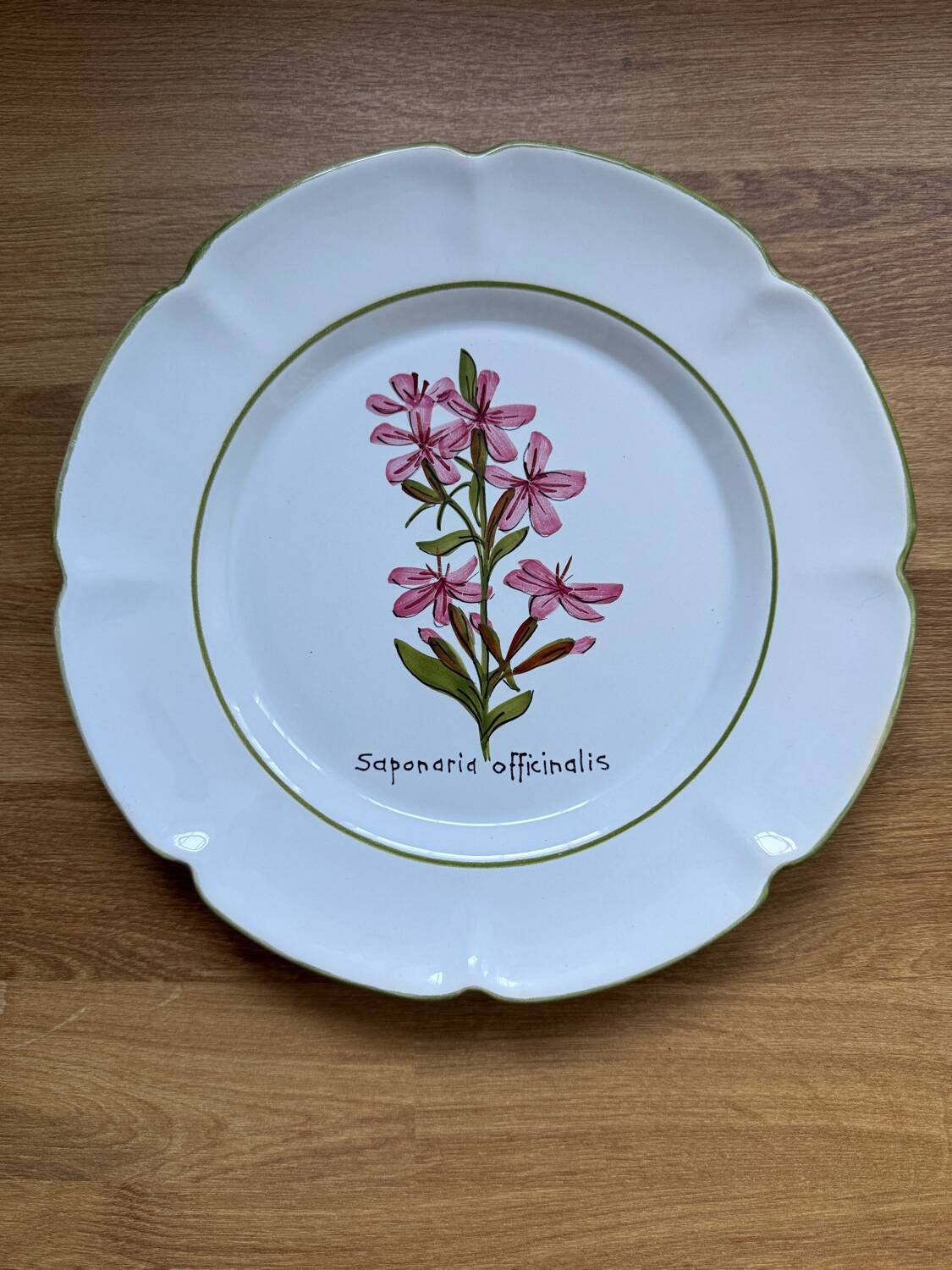 Pair of vintage Charolles plates hand-painted – Botanical decor