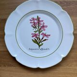 Pair of vintage Charolles plates hand-painted – Botanical decor