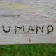 Oil on canvas seaside landscape signed B. Dumand