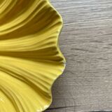 shell cup and bowl
