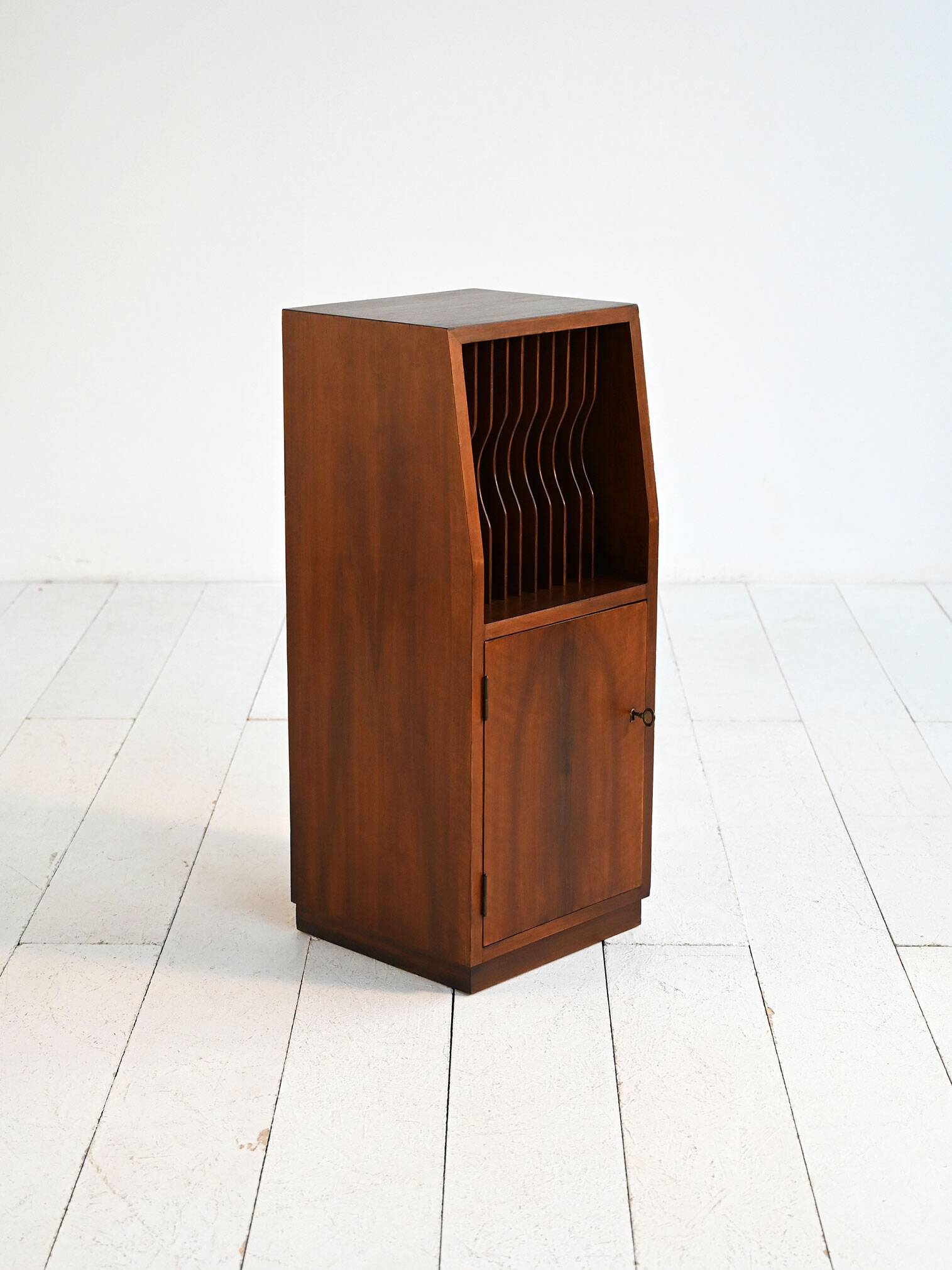 Cabinet with vinyl storage compartment