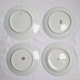 Porcelain dinner plates